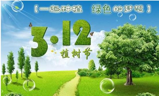 植树节 在春天种下希望