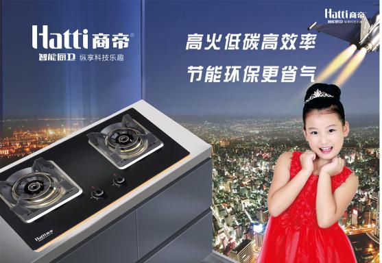 燃气灶常见故障现象及快速解决方法