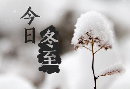 冬至到，吃水饺
