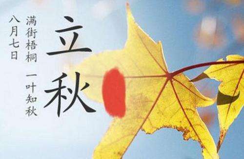 立秋 | 满街梧桐，一叶知秋