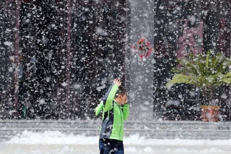 合肥五月“飘雪”？