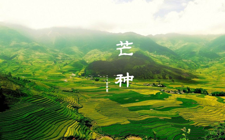 “五月节，谓有芒之种谷可嫁种矣。”