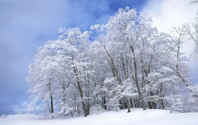 大雪|大雪至，寒冬始！