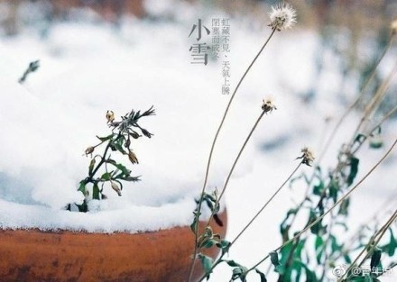 小雪|你好，别来无恙！