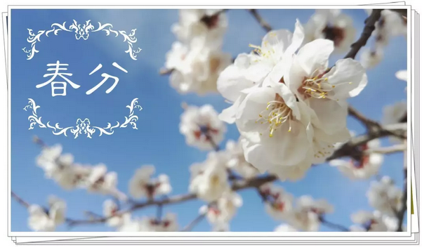 春风到，百花开；万物兴，好运来！