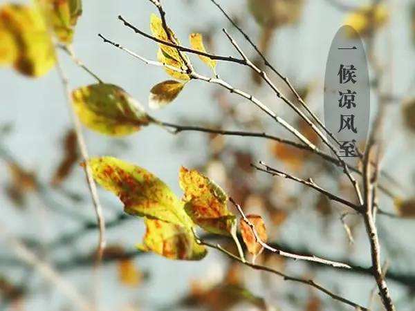 PG国际-创造和传播文娱领域的美好体验游戏平台